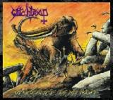 Witchtrap - Vengeance Is My Name